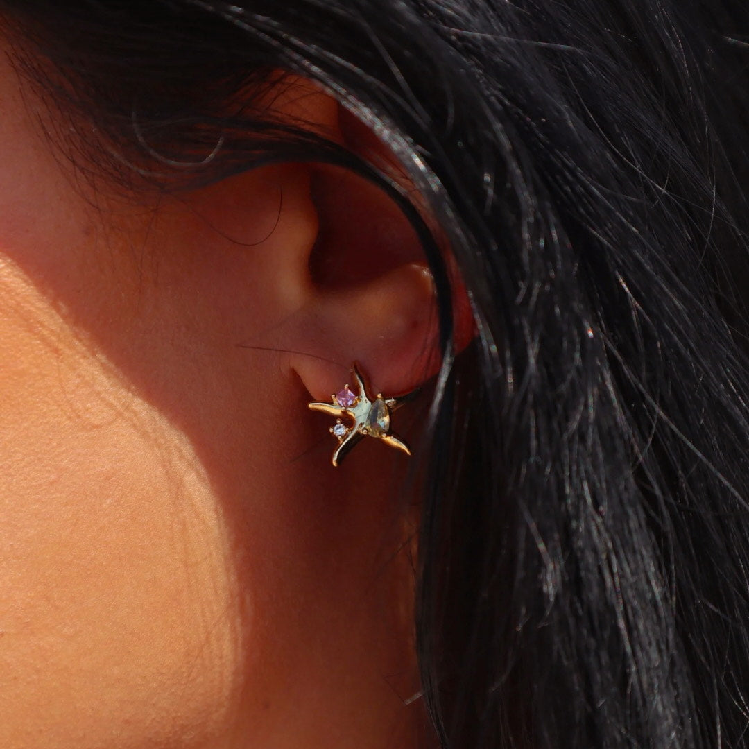 Starfish Earrings